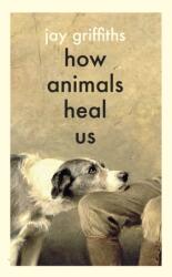 How Animals Heal Us wer. angielska (ISBN: 9780241614358)