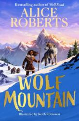 Wolf Mountain (ISBN: 9781398521407)