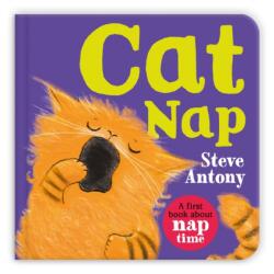 Cat Nap (ISBN: 9781035029037)