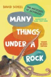 Many Things Under a Rock Young Readers Edition (ISBN: 9781324019992)