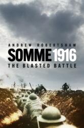 Somme 1916 (ISBN: 9781837051823)