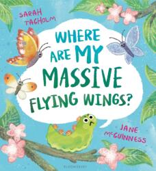 Where Are My Massive Flying Wings? (ISBN: 9781526627360)