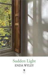 Sudden Light (ISBN: 9781915629456)