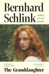 The Granddaughter (ISBN: 9781399614870)