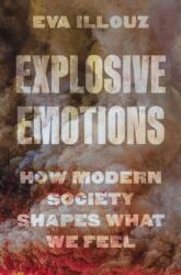 Explosive Emotions (ISBN: 9780691274942)