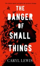 The Danger of Small Things (ISBN: 9781398549272)
