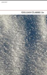 Ice (ISBN: 9781847771995)