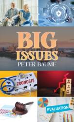 Big Issues (ISBN: 9781035818709)