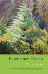 Emergency Dream (ISBN: 9781781727959)