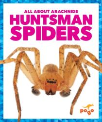 Huntsman Spiders (ISBN: 9798892136150)
