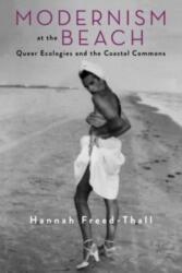 Modernism at the Beach (ISBN: 9780231197090)