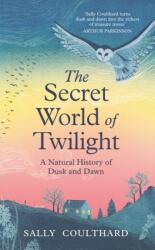 The Secret World of Twilight (ISBN: 9781035912131)