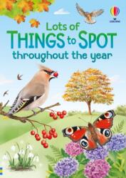 Lots of Things to Spot throughout the year (ISBN: 9781836042969)