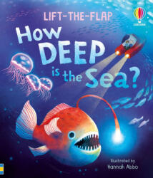 Very First Questions and Answers: How deep is the sea? (ISBN: 9781835408612)