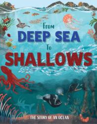 From Deep Sea to Shallows: The Story of Oceans (ISBN: 9781445195360)