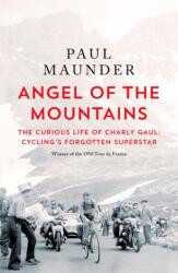 Angel of the Mountains (ISBN: 9781529429596)