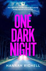 One Dark Night (ISBN: 9781398528031)