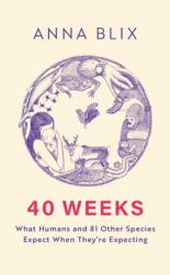 40 Weeks (ISBN: 9781529434828)