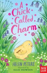 Un pui numit Charm (ISBN: 9781839948763)