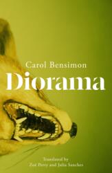 Diorama (ISBN: 9781529438451)