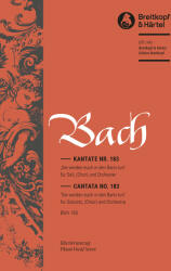 KANTATE BWV 193. IHR TORE ZU ZION, KLAVIERAUSZUG (ISBN: 9786460229656)