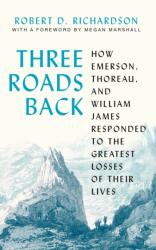 Three Roads Back (ISBN: 9780691224329)