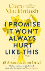 I Promise It Won't Always Hurt Like This (ISBN: 9780751585018)