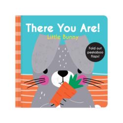 There You Are: Little Bunny (ISBN: 9781923457782)