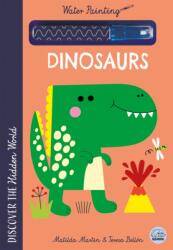 Hidden World - Water Painting Dinosaurs (ISBN: 9781836161271)