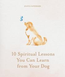 10 Spiritual Lessons You Can Learn from Your Dog (ISBN: 9781841816524)