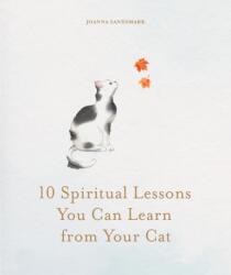 10 Spiritual Lessons You Can Learn from Your Cat (ISBN: 9781841816517)