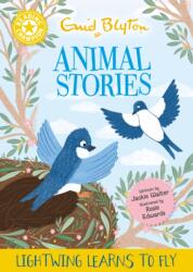 Reading Champion: Enid Blyton Animal Stories: Lightwing Learns to Fly (ISBN: 9781445196817)