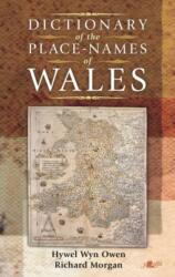Dictionary of the Place Names of Wales (ISBN: 9781800997851)