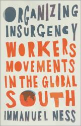 Organizing Insurgency (ISBN: 9780745343600)