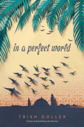 In a Perfect World (ISBN: 9781481479899)