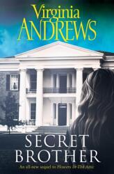 Secret Brother (ISBN: 9781471142703)