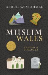 Muslim Wales (ISBN: 9781781727935)