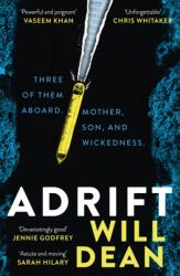 Adrift (ISBN: 9781529382891)