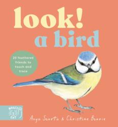 Look! A Bird! (ISBN: 9781917044622)