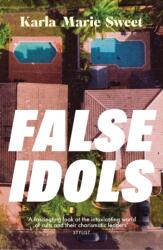 False Idols (ISBN: 9781035422074)