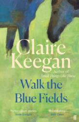 Walk the Blue Fields (ISBN: 9780571382224)