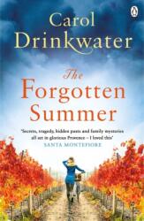 The Forgotten Summer (ISBN: 9781405924146)