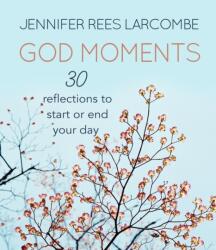 God Moments (ISBN: 9780857216939)