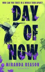 Day of Now (ISBN: 9781526684325)