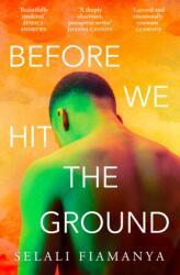 Before We Hit the Ground (ISBN: 9780008509606)