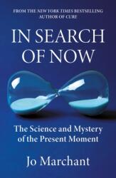 In Search of Now (ISBN: 9781838858735)