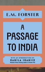 A Passage to India (ISBN: 9781399736176)