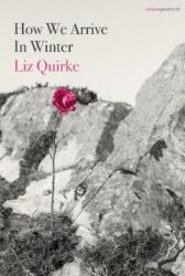 How We Arrive In Winter (ISBN: 9781912561964)