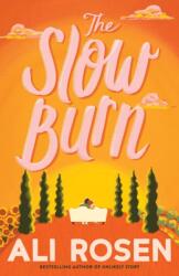 The Slow Burn (ISBN: 9781662535963)
