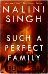 Such a Perfect Family (ISBN: 9781399611596)